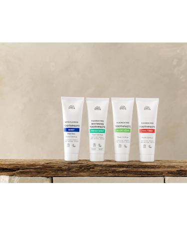 Urtekram Organic Mint Toothpaste with Fluoride - 75ml | Natural Oral Care - Buy Online on GoSupps.com
