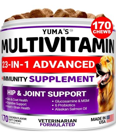 Dog Multivitamin Chewable with Glucosamine - 23 in 1 - Dog Vitamins and Supplements - 170 Chews - Senior & Puppy Multivitamin for Dogs - Hip & Joint Support - Immune Health Skin Digestion Chicken 170 Soft Chews