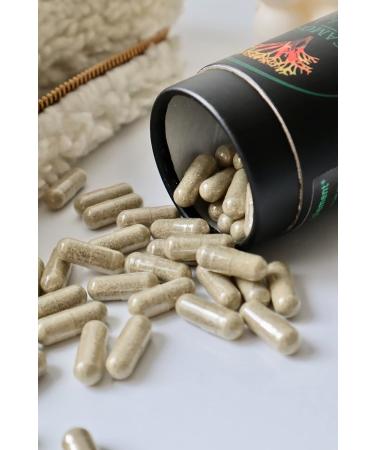 Wildcrafted Sea Moss Capsules - 1000mg Day | 60 Vegan Capsules | Non-GMO | Dr Sebi Approved - Buy Online on GoSupps.com