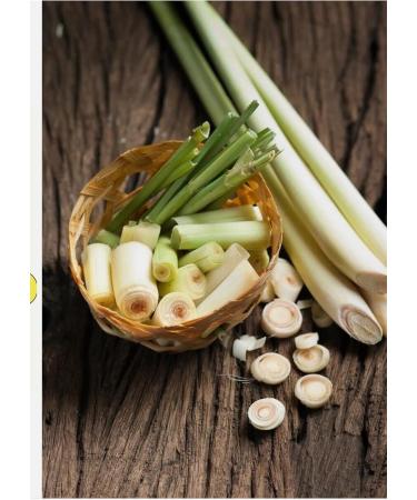 Konsko chudo Trivitamini Hairolie Argan Lemongrass - Buy Online on GoSupps.com