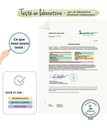 Maitake BIO Vegavero | High Dosage: 7500 mg | Standardized Extract to 50% Polysaccharides | Natural Antioxidant + Anti Stress | No Additives | 60 Capsules | Vegan - Buy Online on GoSupps.com