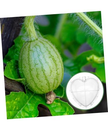 SUPVOX Heart Shaped Watermelon Molds Fruit Vegetable Mould Vegetable Forming Cucumber Shaper - Buy Online on GoSupps.com