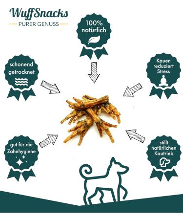 Premium Chicken Feet for Dogs - 2.5 kg Chews & Treats | 100% Natural BARF Dog Food by WuffSnacks - Buy Online on GoSupps.com