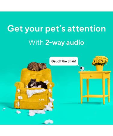 Wyze Cam v3 Wired 2.4GHz Wi-Fi Pet Camera - Indoor/Outdoor Home Security Camera for Pets, Kids & Elderly - Works with Alexa, Google Home & IFTTT - V3 Only - Buy Online on GoSupps.com