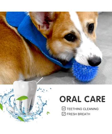 6 Pack Squeaking Rubber Balls for Small Dogs - Bright TPR Puppy Toys with Spikes | Fun Dog Kit - Buy Online on GoSupps.com