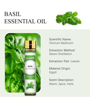 Aoruilia 10ml Basil Essential Oil 100% Pure Natural Basil Aromatherapy Oils for Diffusers for Home Sleep Relax Spa Massage DIY Soap Candle Making Basil 10 ml (Pack of 1) - Buy Online on GoSupps.com