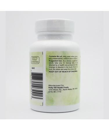 Holly Hill Health Foods Methyl B-12 Cherry 50 Lozenges 1 Count (Pack of 50) - Buy Online on GoSupps.com