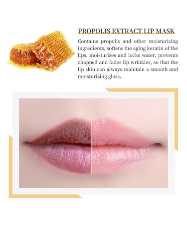 LSxia Bee Balm Honey Lip Mask - Hydrating & Moisturizing Lip Care for Dry Cracked Lips - Buy Online on GoSupps.com