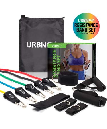 Resistance Bands Set (12 Piece) - Pro Series with Door Anchor Ankle & Wrist Straps Exercise Guide & Carrying Bag for Strengthening & Training - Ship Internationally - Buy Online on GoSupps.com