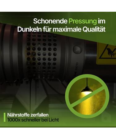  lm hle Schwarzk mmel Organic black seed oil - First pressing - 100% cold pressed - 100% Egyptian - 100% natural - Protective bottle - Buy Online on GoSupps.com