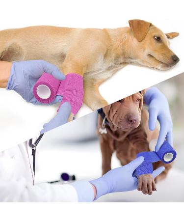 12 Roles Self-Adhesive Bandage | Cohesive Elastic Bandages for First Aid & Pet Care - 5cm x 4.5m | 12PCs - Buy Online on GoSupps.com