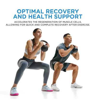 Nova Pharma L-Glutamine Powder - Promotes Muscle Recovery & Post-Workout Performance - Improves Gut Health & Boosts Immune System- Supplement for Athletes Fitness & Gym Goers (80 Servings) - Buy Online on GoSupps.com