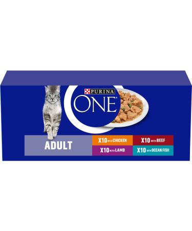 Purina ONE Adult Cat Mini Fillets in Gravy - 40x85g