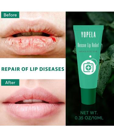 Lip Sunscreen Moisturizing and Repair Package Lip Care Set- SPF 30 - Summer Long Lasting Moisturized, Smooth and Repaired Lips - 3 Flavors (Moisturizing, Repairing, and SPF) Gift for Women Men - Buy Online on GoSupps.com