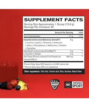 BARE PERFORMANCE NUTRITION BPN G.1.M Sport Fruit Punch 25 Servings + Recover Post-Workout Muscle Recovery Drink Mix Fruit Punch 25 Servings | Endurance Fuel + Recovery Bundle - Buy Online on GoSupps.com