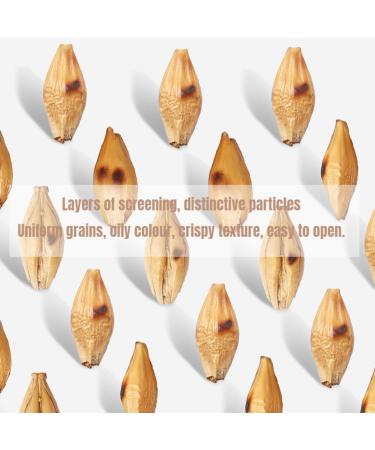  HQZMCTE Premium Quality Sauteing Barley - 500g Natural Wheat Flavor No Additives Healthy Soothing - Buy Online on GoSupps.com