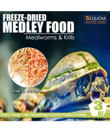 Freeze Dried Shrimp & Mealworms Medley for Aquatic Turtle, Beard Dragon, Reptiles & Amphibians - 3 oz - Buy Online on GoSupps.com
