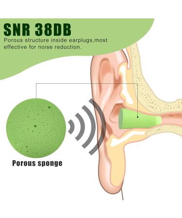 Aiqinu Earplugs for Sleeping - 60 Pairs Super Soft Foam Noise Protection (38 dB SNR) Ideal for Snoring Learning Traveling & Concerts - Green - Buy Online on GoSupps.com