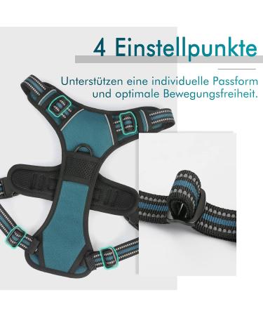 Rabbitgoo No-Pull Dog Harness for Medium & Large Dogs - Breathable Reflective Anti-Training Control - Dark Green (1 Pack) - Buy Online on GoSupps.com