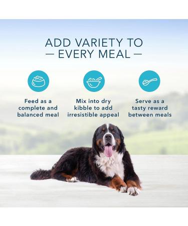 Blue Buffalo Homestyle Recipe Natural Wet Dog Food Large Breed Chicken 12.5oz (Pack of 12) - Buy Online on GoSupps.com