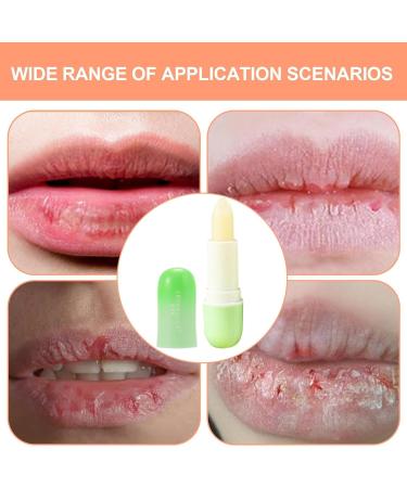 TARAKO Moisturizing lip balmLip balm stick with fruit flavor Natural intensely nourishing moisturizing supple soothing lip balm for healing and repair of the lips - Buy Online on GoSupps.com