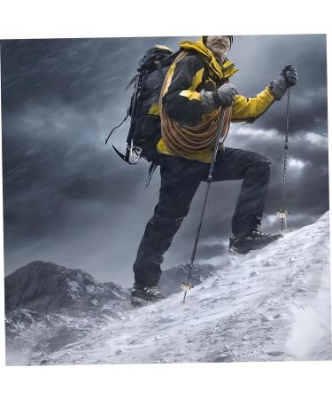 Cane Ice Tip Attachment 2PCS Stainless Steel 5-Prong Ice Tip for Cane Universal Cane Ice Tip Non-slip Ice Grip for Winter Snow Safety Sporting Supplies - Buy Online on GoSupps.com