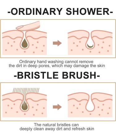 Fayrimi Long-Handled Bristle Detox Body Brush with Wooden Handle | Exfoliating & Cleansing - Buy Online on GoSupps.com