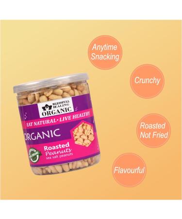 Blessfull Healing Organic Natural Vegan Sea Salt Roasted Peanuts Crunchy Healthy Snacks 250 Gram - Buy Online on GoSupps.com