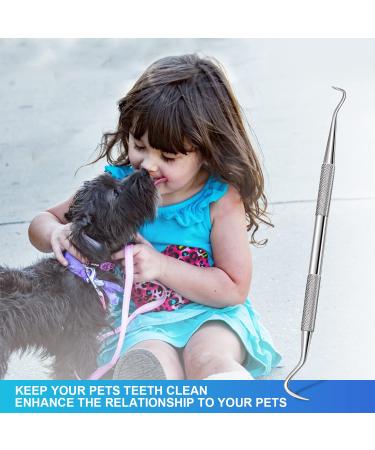 Shop Sopito Stainless Steel Dental Tools | Effective Teeth Cleaning Scraper & Plaque Remover - Buy Online on GoSupps.com