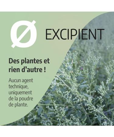 Mugwort 250 mg - 200 capsules - Orgaliane - Buy Online on GoSupps.com