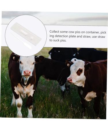 Ipetboom Livestock Pregnancy Test Kit - 3 Pcs Cow & Pig Tester Strips, Farm Testing Tool - Buy Online on GoSupps.com