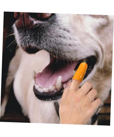 BESPORTBLE 1 Set Pet Toothbrush Dog Care Toothbrush Dog Teeth Cleaning Stick Dog Toothpaste Pp Orange - Buy Online on GoSupps.com