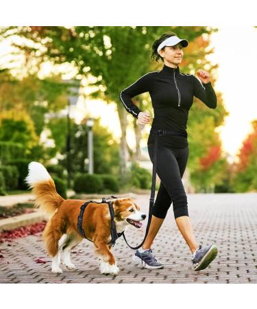 Buy Speelulu 1.8m - 3M Multifunctional Hands-Free Dog Leash | Adjustable Hip Belt & Shoulder Leash for Training Hiking & Running | International Shipping Available - Buy Online on GoSupps.com