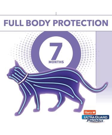 Hartz UltraGuard ProMax Flea & Tick Collar for Cats & Kittens - 2-Pack Purple - Soft & Comfortable Tick Prevention - Buy Online on GoSupps.com