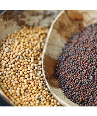 Rajah Whole Black Mustard Seeds 100g - Black Rai Seeds for Cooking | Pack of 1 - Buy Online on GoSupps.com
