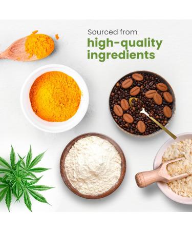 Buy Z Natural Foods Organic Vanilla Cream Vegan Protein Powder 5 lbs - High-Quality Plant-Based Protein for Healthy Living - Ship Worldwide - Buy Online on GoSupps.com