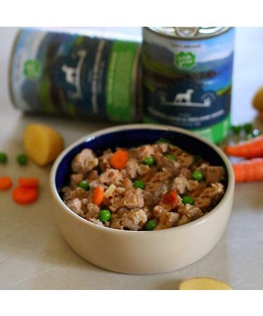 Irish Pure Premium Wet Dog Food - Atlantic Salmon | Cereal-Free | 6x390g | Superfood Kelp | Vitamins | Sensitive Formula | All Breeds - Buy Online on GoSupps.com