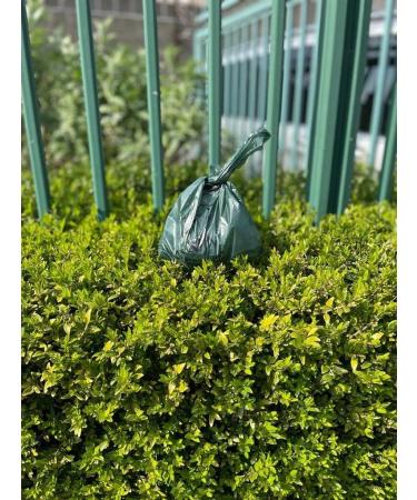 Panmer Poo Bio Bags Biodegradable Dog Poop Bags Waste Bags x 500 Eco Friendly Bulk Buy Human's Other Best Friend 1 count (Pack of 1) - Buy Online on GoSupps.com