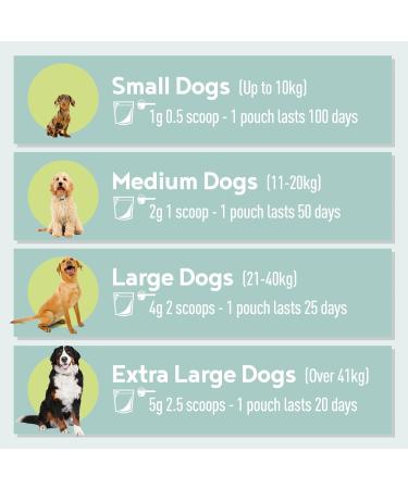 A-OK9 Plaque-K9 Dental Supplement for Dogs - Removes Plaque, Bad Breath & Tartar | Oral Hygiene Support with Natural Ingredients - Absolute Dogs - Buy Online on GoSupps.com