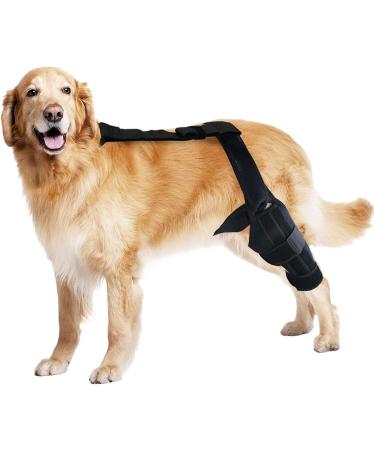 Dog Knee Support Brace - Brace Behind Leg - Rear Leg Stabilizer for Small Dogs Neoprene Hip Brace with Adjustable Traction Belt for Cruciate Ligament Injury Joint M left - Buy Online on GoSupps.com
