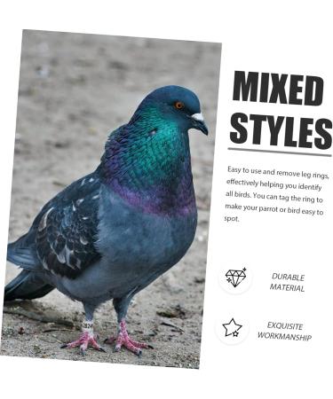 FRCOLOR 400 pcs Birds Pigeons Accessory Marker and Mixed Leash Leg Finch Thigh Ctr Bands- 1.1x0.8cm x4pcs Colorfulx4pcs - Buy Online on GoSupps.com