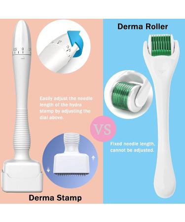 CLETINA Adjustable Microneedling Derma Stemp Pen - 140 Titanium 0.25mm Pins for Face, Body, Skin, Hair & Beard Growth - Buy Online on GoSupps.com