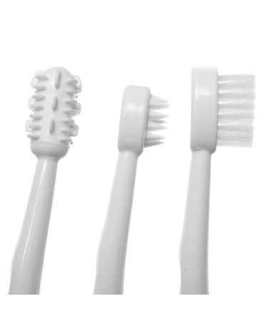 Dreambaby 3 Stage Toothbrush Set - White (3 Count) | Dental Care for Babies and Toddlers - Buy Online on GoSupps.com