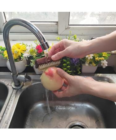 Coralpearl Wood Nail Brush Set - 4 Double-Sided Brushes with Natural Bristles for Fingernails & Toenails Cleaning | Rosewood Craftsman Brush & Scrubbing Tool - Buy Online on GoSupps.com