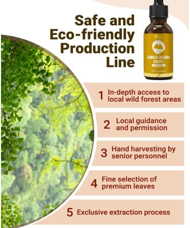 Ginkgo Biloba Extract Liquid 2 Fl Oz - Organic Ginkgo Leaves Tincture | Vegan, Non-GMO, Gluten-Free, Alcohol-Free | 98% Absorption | Pack of 1 - Buy Online on GoSupps.com