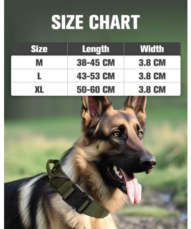 Joyal Tactical Dog Collar | Army Green Dog Collar with Handle & QR Code | Large Dogs  - Buy Online on GoSupps.com