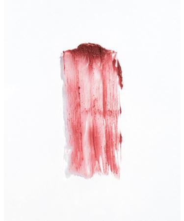 Buy 19/99 Tinted Matte Balm - All-Over Face Color | Vegan Cruelty-Free Responsible Beauty - Terra - Buy Online on GoSupps.com