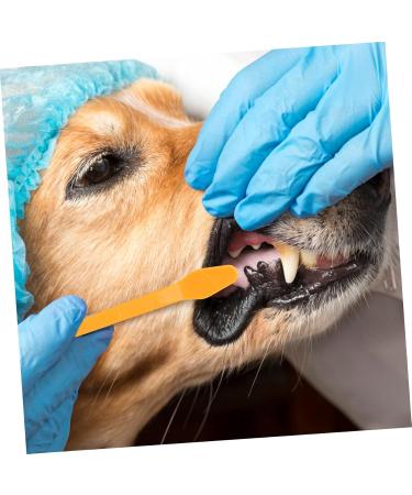 COSMEVIVI 10pcs Pet Toothbrush Pet Cleaning Toothbrush Cat Toothpaste Pet Toothpaste Dual-head Dog Puppy Nylon - Buy Online on GoSupps.com