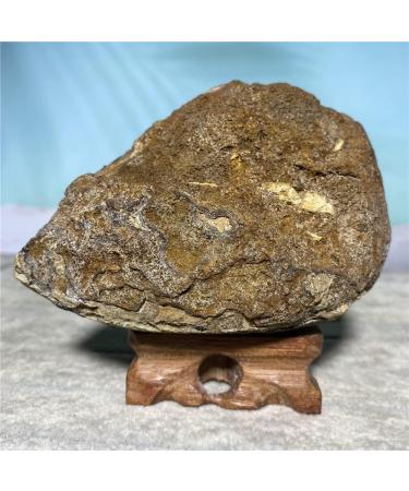 Amethyst Rough Stone Amethyst Natural Stone Crystal Minerals Specimen Geode Ornaments for Home Decoration Room+Stand JIZTGEDM - Buy Online on GoSupps.com