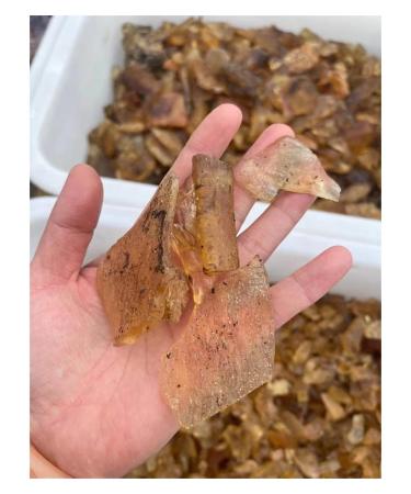 Natural Baltic Amber Loose Gemstone Rough Raw Stone Natural Resin Specimens ZJGIDTEM (Size : 50g)